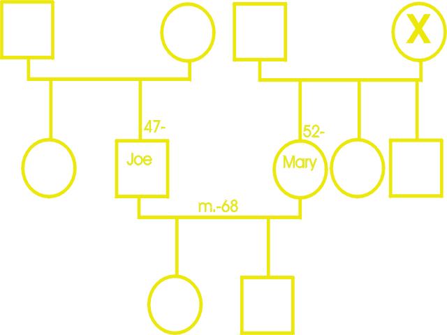 genogram1.jpg (18045 bytes)